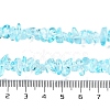Transparent Glass Beads Strands GLAA-P060-01B-02-4