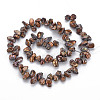 Natural Keshi Pearl Beads Strands PEAR-S021-013A-06-2