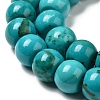 Natural Howlite Beads Strands G-B049-C01-06A-4