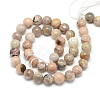 Natural Sun Stone Beads Strands X-G-S150-23-6mm-2