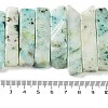 Natural Chrysocolla Beads Strands G-L551B-19-4