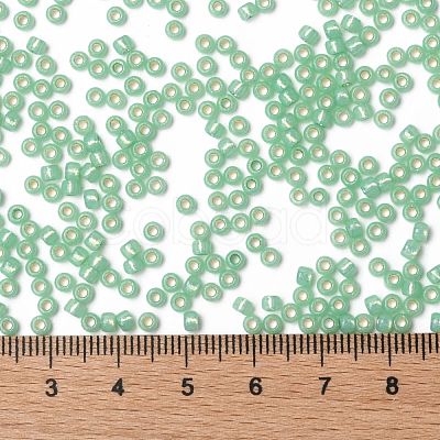 TOHO Round Seed Beads SEED-JPTR08-PF2103-1