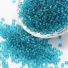 15/0 Glass Seed Beads SEED-J013-F15-19-1