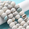 Natural Dyed Agate Imitation Turquoise Beads Strands G-P425-01B-01A-4