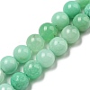 Grade AA Natural Chrysoprase Beads Strands G-R494-A01-03-1