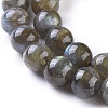 Natural Labradorite Round Bead Strands G-I156-01-10mm-5