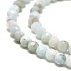 Natural Larimar Beads Strands G-A187-02C-3