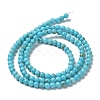 Natural Howlite Beads Strands G-E604-B04-B-3