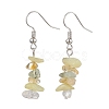 Natural Mixed Stone Dangle Earrings EJEW-JE06154-01-1