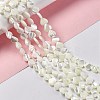 Natural Trochid Shell/Trochus Shell Beads Strands SHEL-F003-08A-3