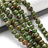 Dyed Natural Regalite/Imperial Jasper/Sea Sediment Jasper Beads Strands G-B124-C01-09-2