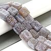 Natural Weathered Agate Beads Strands G-Q169-B04-01-2