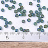 MIYUKI Round Rocailles Beads SEED-JP0008-RR0156FR-4