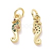 Brass Micro Pave Cubic Zirconia Charms KK-E068-VF114-1