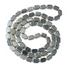 Electroplate Glass Beads Strands EGLA-N008-017-B01-2