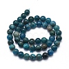 Natural Apatite Beads Strands G-F591-01-3