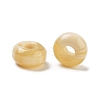 Resin European Beads RESI-Z030-04G-1