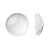 Transparent Glass Cabochons GGLA-R026-10mm-1