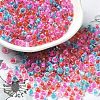 Transparent Glass Round Seed Beads SEED-B001-05A-14-1