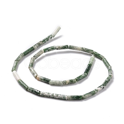 Natural Green Spot Jasper Beads Strands G-D464-14-1