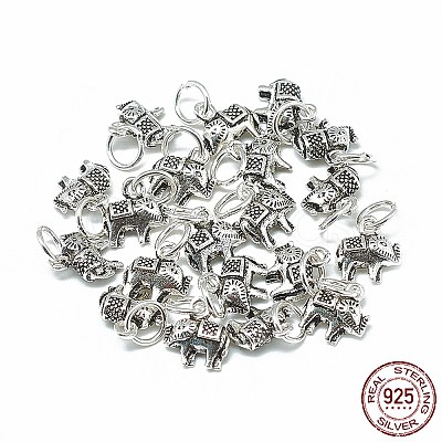 Thailand 925 Sterling Silver Charms STER-T002-05AS-1