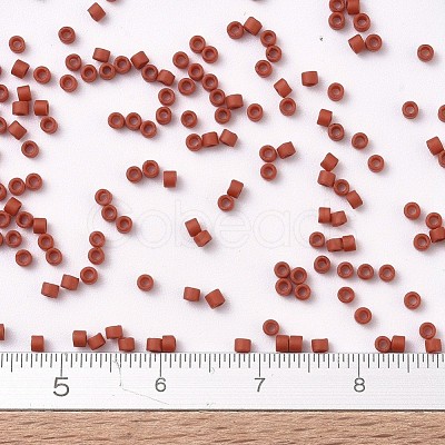 MIYUKI Delica Beads X-SEED-J020-DB2288-1