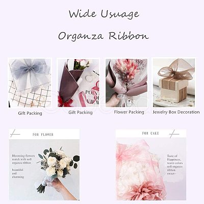 Organza Ribbon ORIB-BC0001-02F-1