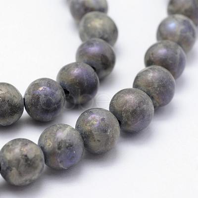 Electroplate Natural Labradorite Beads Strands G-F518-05-10mm-1