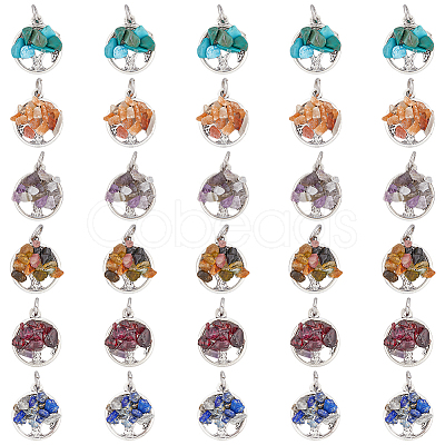 HOBBIESAY 10 Sets 6 Styles Natural & Synthetic Mixed Stone Chip Pendants G-HY0001-35-1