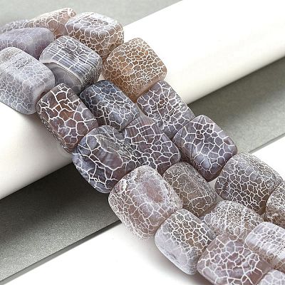 Natural Weathered Agate Beads Strands G-Q169-B04-01-1