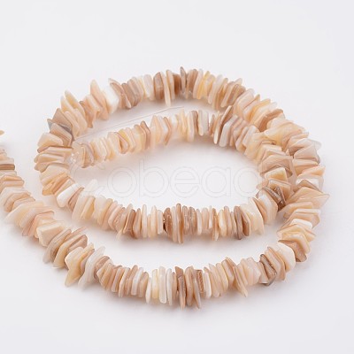 Natural Shell Bead Strands X-BSHE-P021-14-1