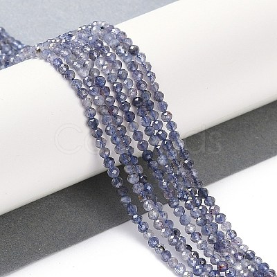 Natural Iolite Beads Strands G-N342-32-1