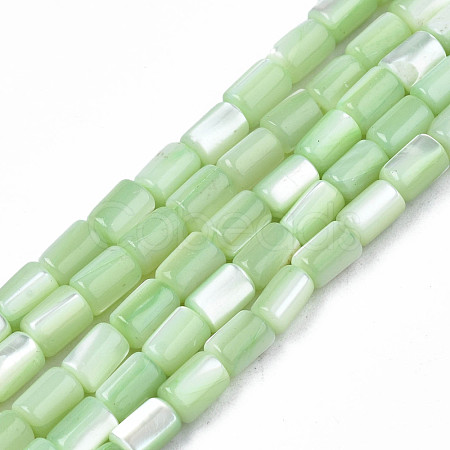 Natural Trochid Shell/Trochus Shell Beads Strands SHEL-N003-26-B08-1