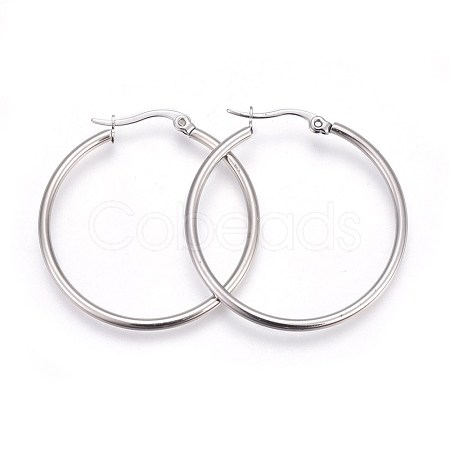304 Stainless Steel Hoop Earrings EJEW-P173-13P-05-1