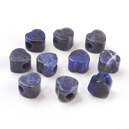 Natural Sodalite European Beads G-F580-C07-1