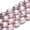 Natural Cultured Freshwater Pearl Beads Strands PEAR-N012-07P-4