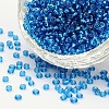 8/0 Glass Seed Beads SEED-A005-3mm-23B-1