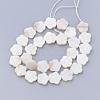 Natural Freshwater Shell Bead Strands SHEL-T001-A01-2