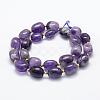 Natural Amethyst Beads Strands G-P322-44-2