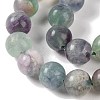 Natural Fluorite Beads Strands G-P530-B04-05-3