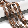 Natural Black Sunstone Beads Strands G-P497-01C-16-2