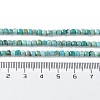Natural HuBei Turquoise Beads Strands G-P514-B07-02-5