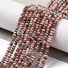 Natural Argentina Rhodonite Beads Strands G-C052-10-01-2