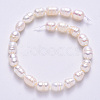 Natural Cultured Freshwater Pearl Beads Strands PEAR-S012-41B-3