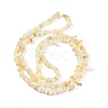 Natural Freshwater Shell Beads Strands BSHE-G036-02-2