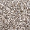 Plated Glass Bugle Beads SEED-S046-01A-21-3