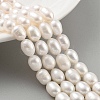 Natural Cultured Freshwater Pearl Beads Strands PEAR-P062-10I-2