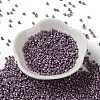 Baking Paint Glass Seed Beads X-SEED-S042-15A-14-2
