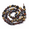 Natural Tiger Eye Beads Strands G-S363-031-2