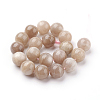 Natural Sunstone Beads Strands G-G099-10mm-14-2
